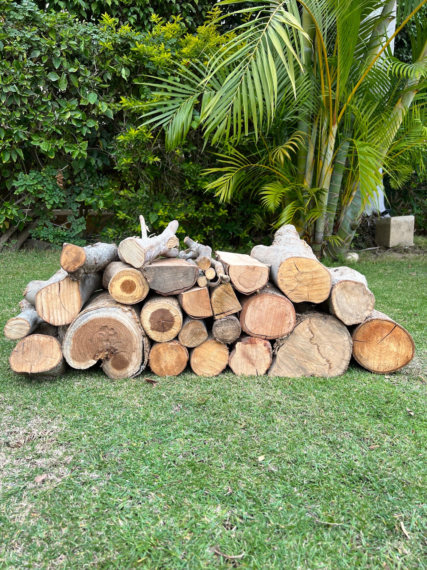 Wood logs